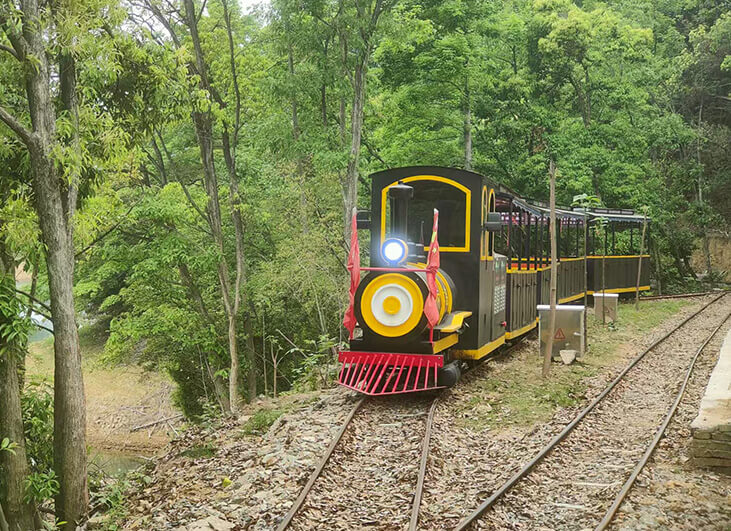 Antique Green Train