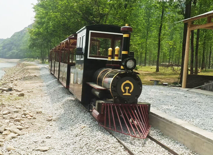 Black Gold Train