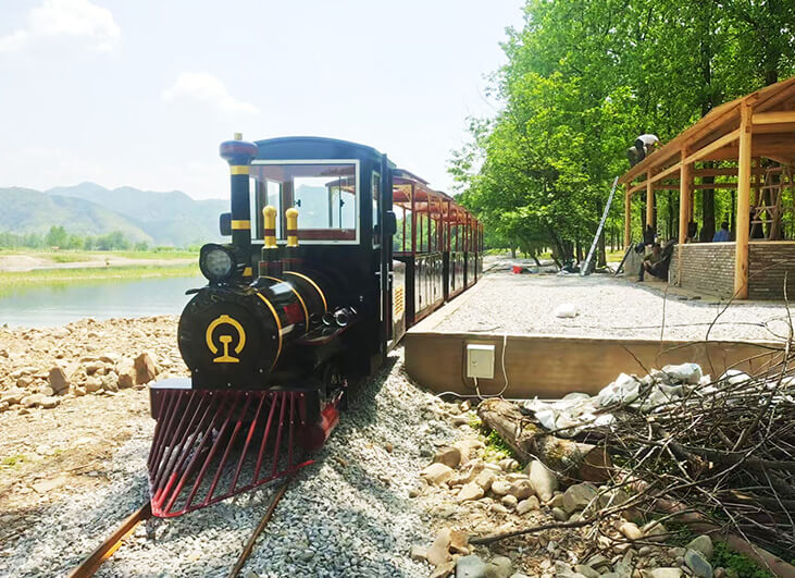 Black Gold Train