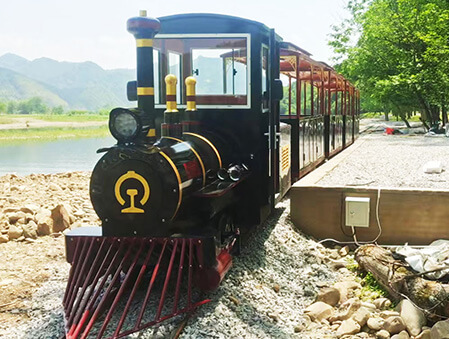 Black-Gold-Train-7