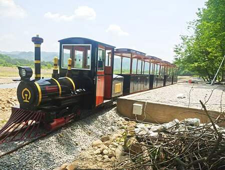 Black-Gold-Train-8
