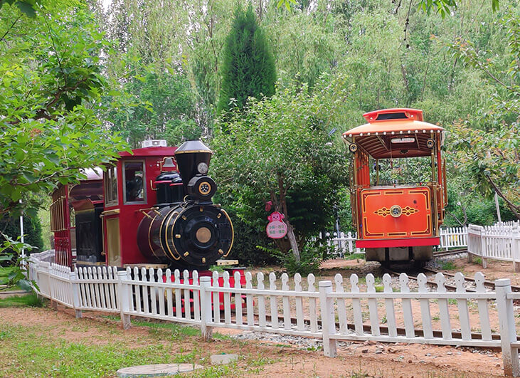 Black Retro Train