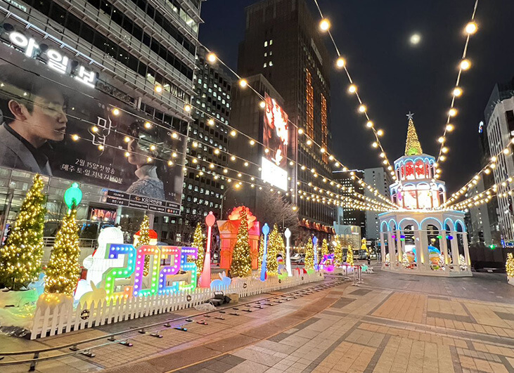 Customized Amusement Equipment