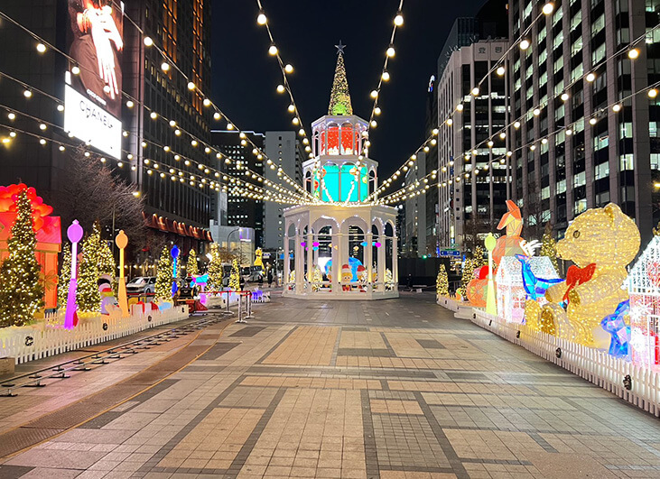 Customized Amusement Equipment