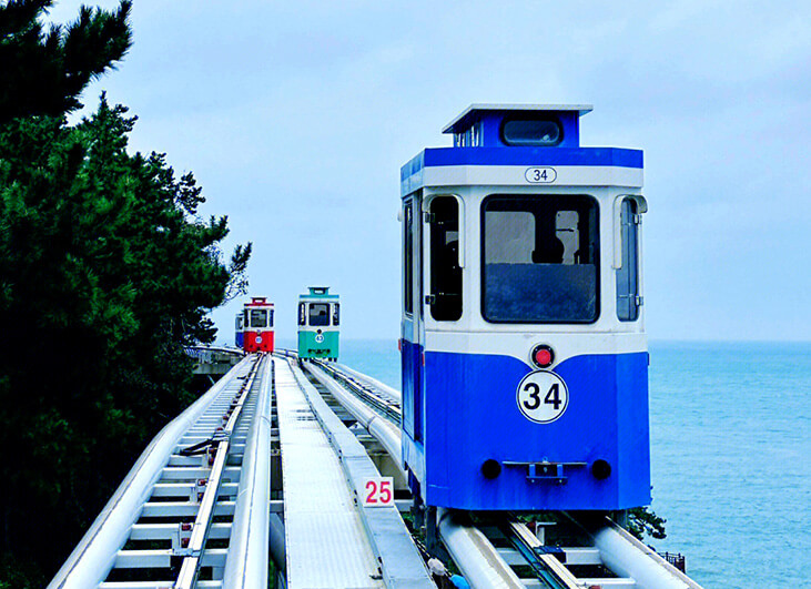 Capsule Train