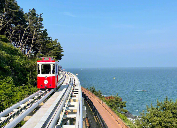 Capsule Train